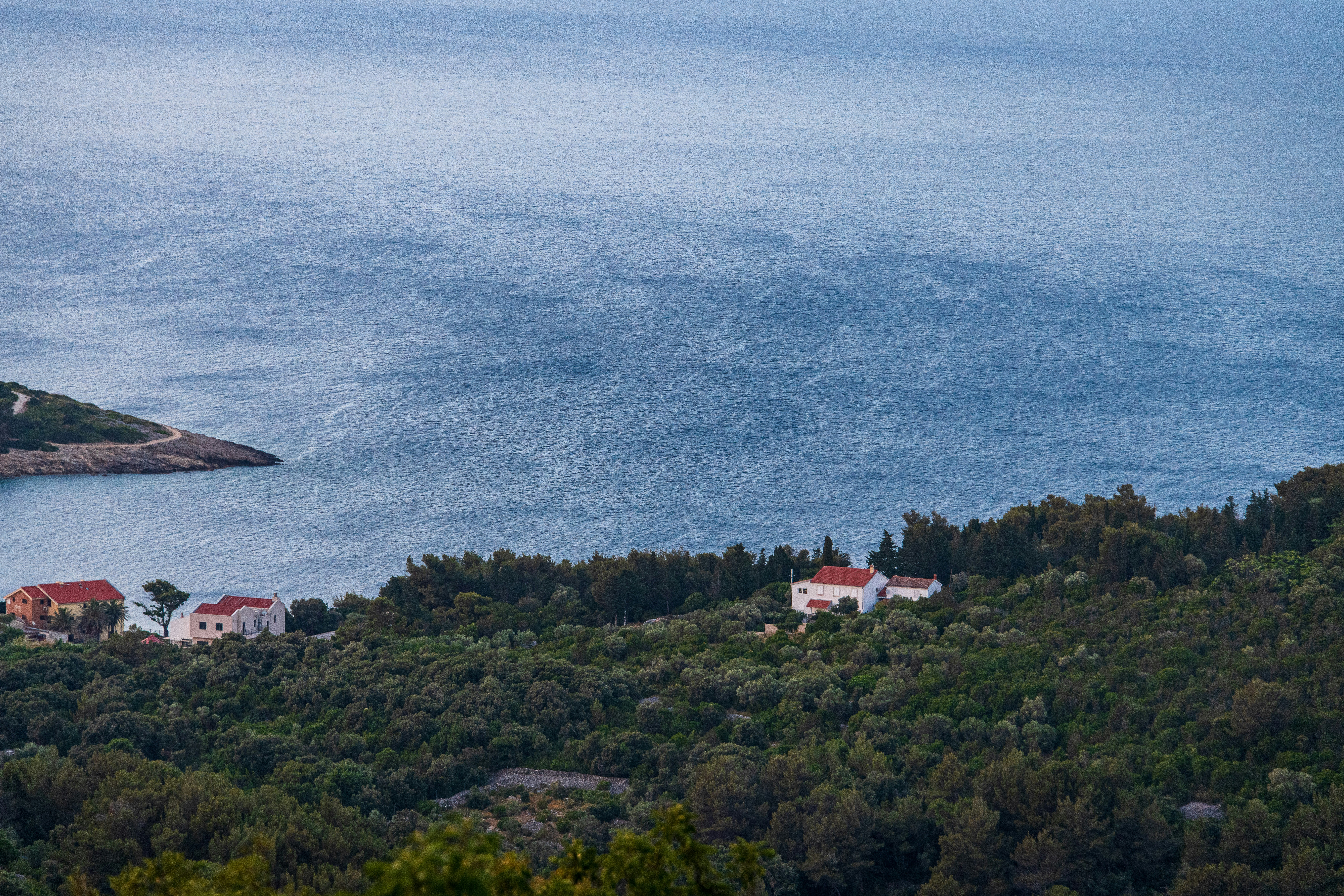 Photo by olehner2000