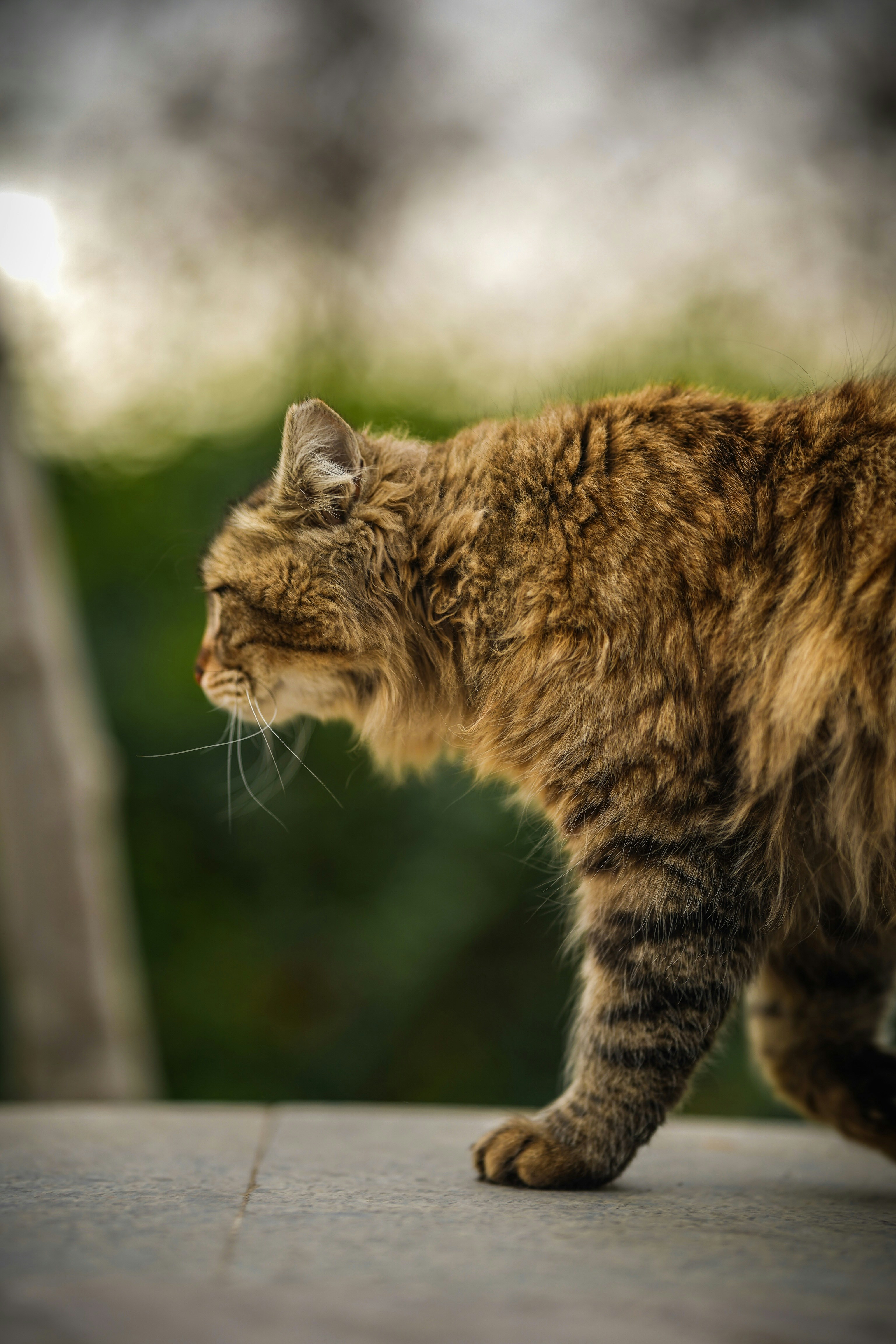 Photo by kiarash_mansouri