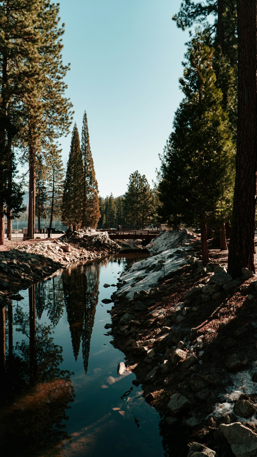 uno specchio d'acqua circondato da alberi e rocce