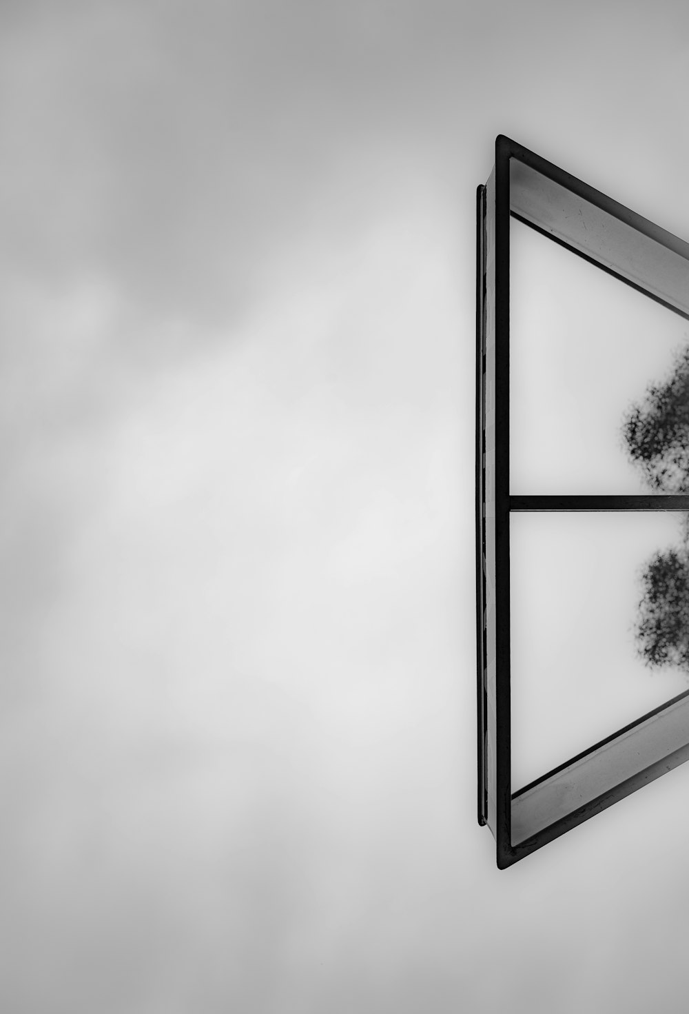 a black and white photo of a window and a tree