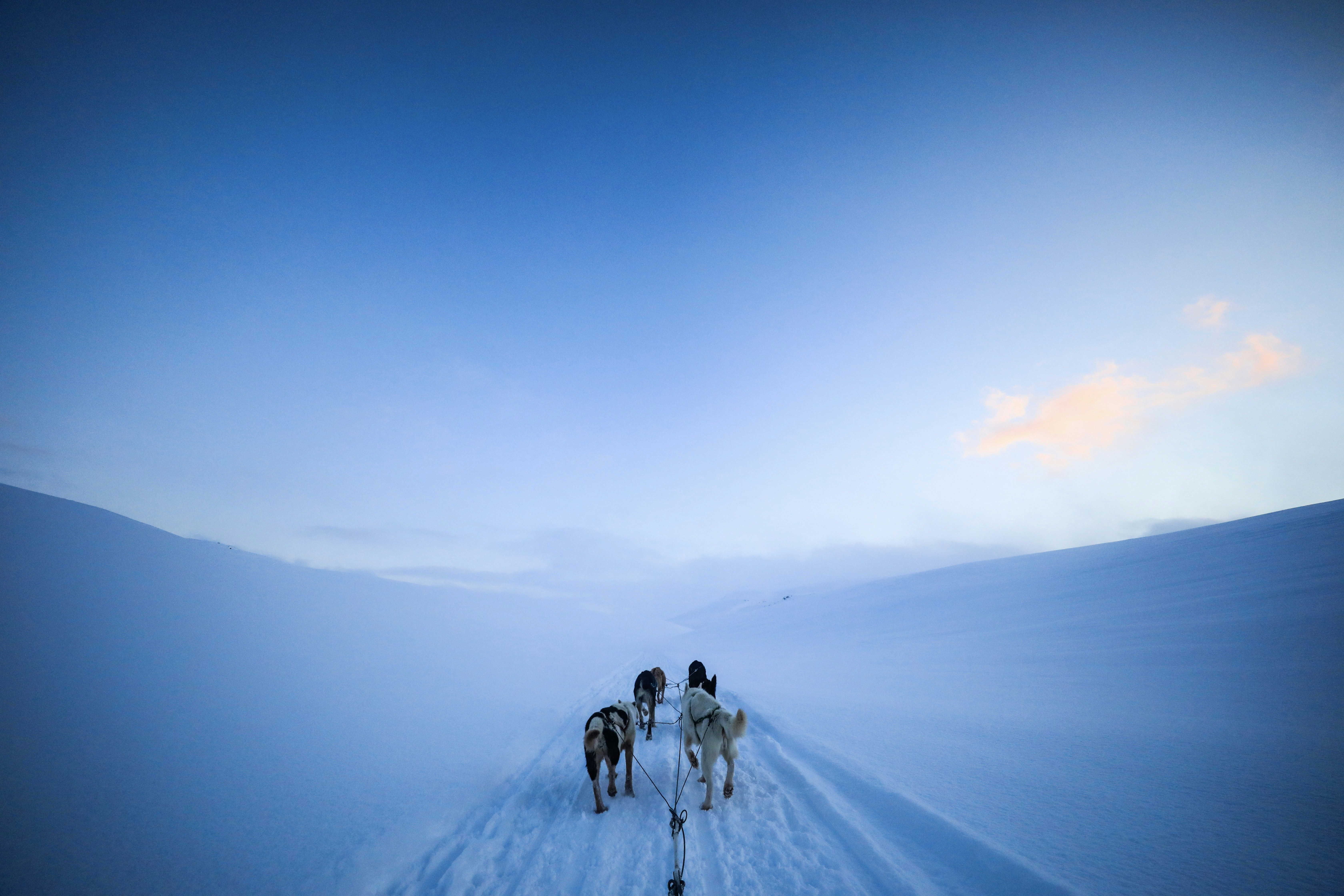 Group riding horses across snow field