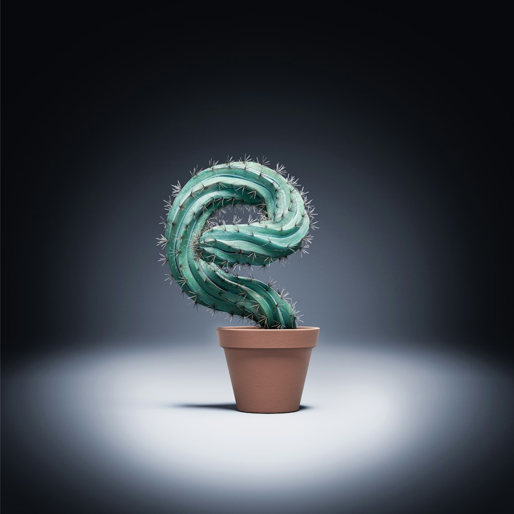 Un cactus en una olla con un fondo negro