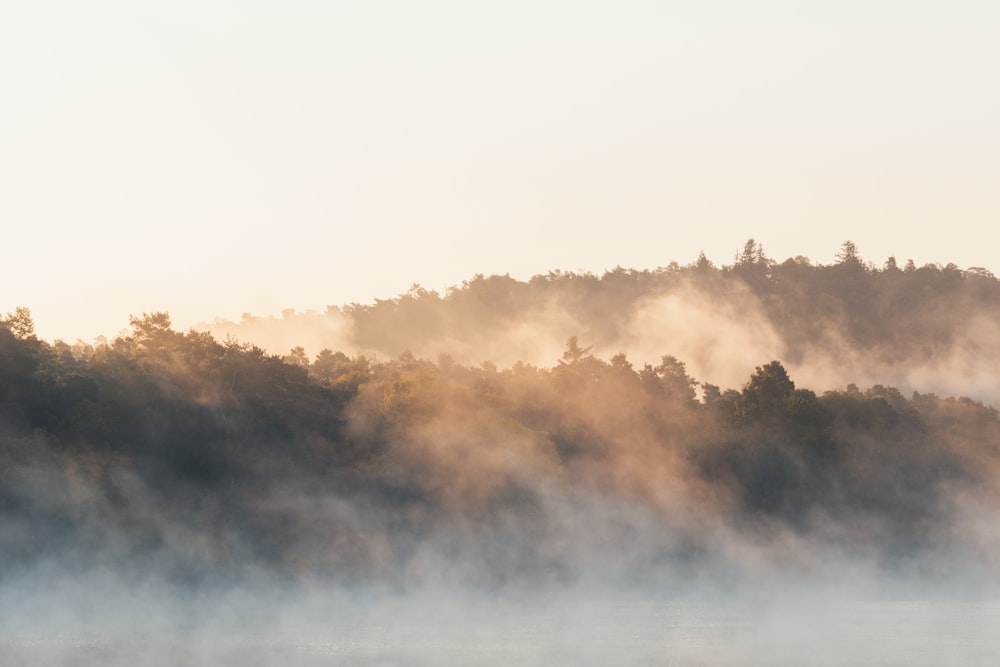 a boat floating on top of a lake next to a forest