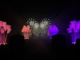 A dark outdoor setting is illuminated by vibrant, colorful light installations resembling stylized plants or feathers, primarily in red and purple. In the distance, bright, spherical light displays are visible, adding to the festive atmosphere. Several people can be seen walking along a pathway bordered by these lights, creating a magical and enchanting scene.