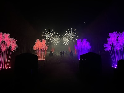 A dark outdoor setting is illuminated by vibrant, colorful light installations resembling stylized plants or feathers, primarily in red and purple. In the distance, bright, spherical light displays are visible, adding to the festive atmosphere. Several people can be seen walking along a pathway bordered by these lights, creating a magical and enchanting scene.