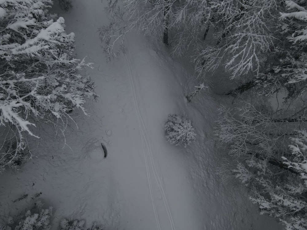 an aerial view of a snow covered forest