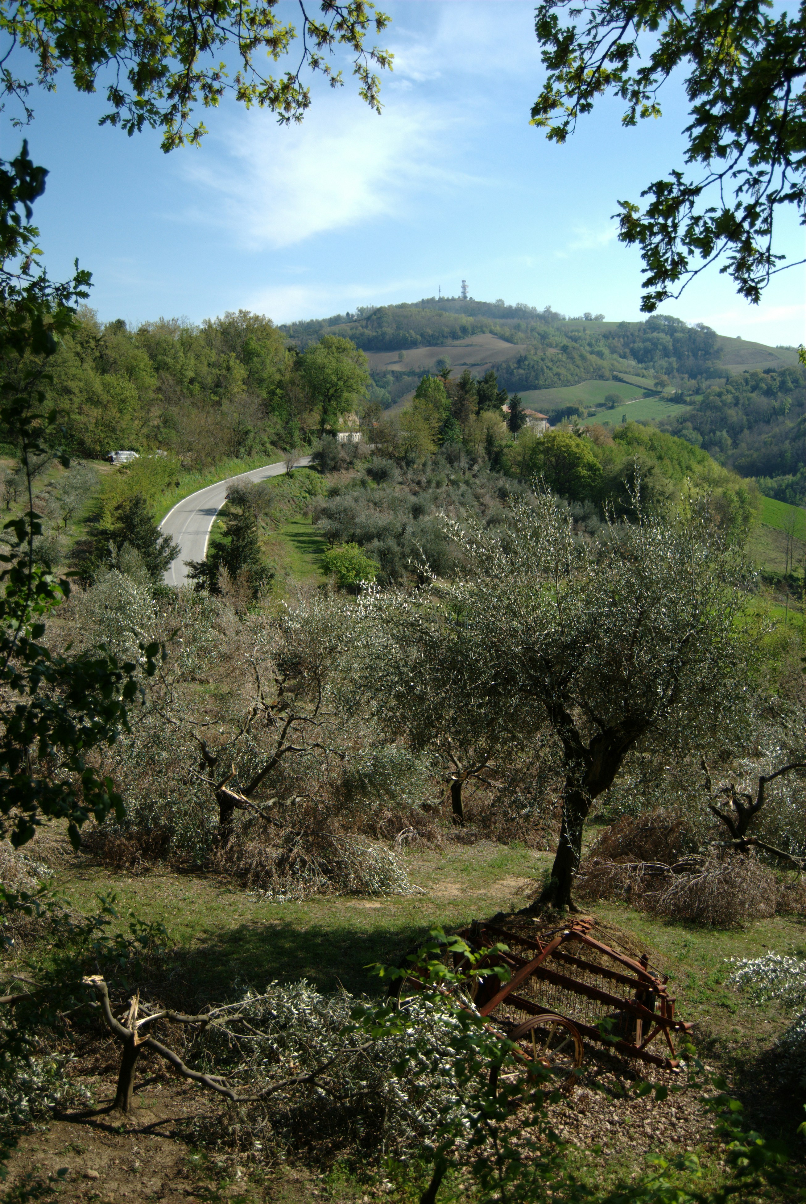 Photo by alexandroap