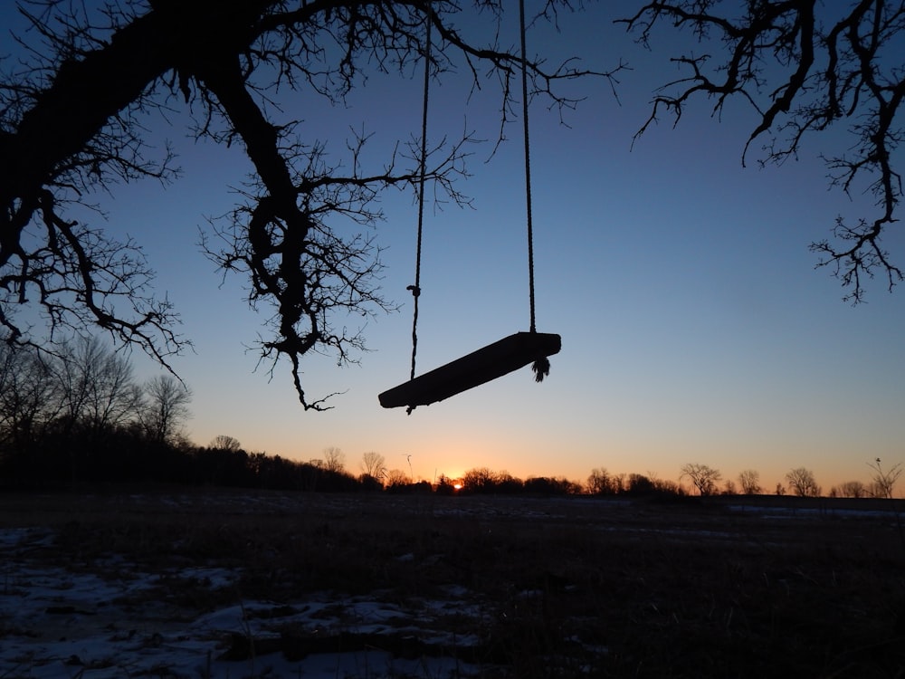a swing hanging from a tree at sunset