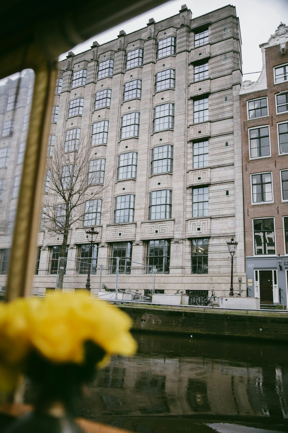a yellow flower sitting in front of a tall building