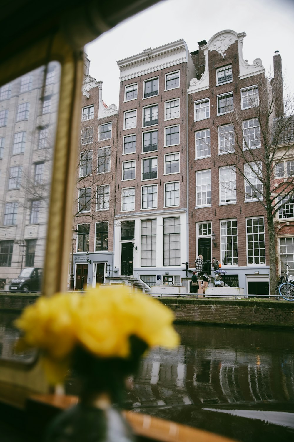 a yellow flower sitting on a window sill in front of a building