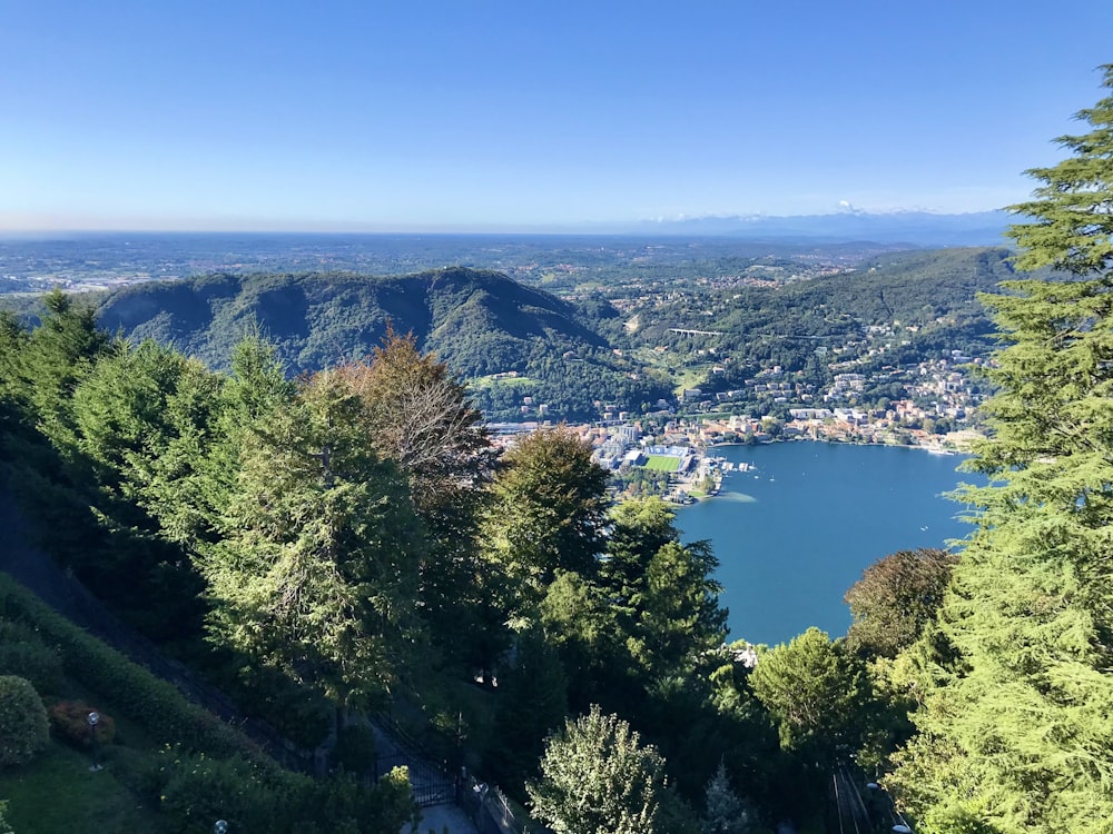 a scenic view of a lake surrounded by trees