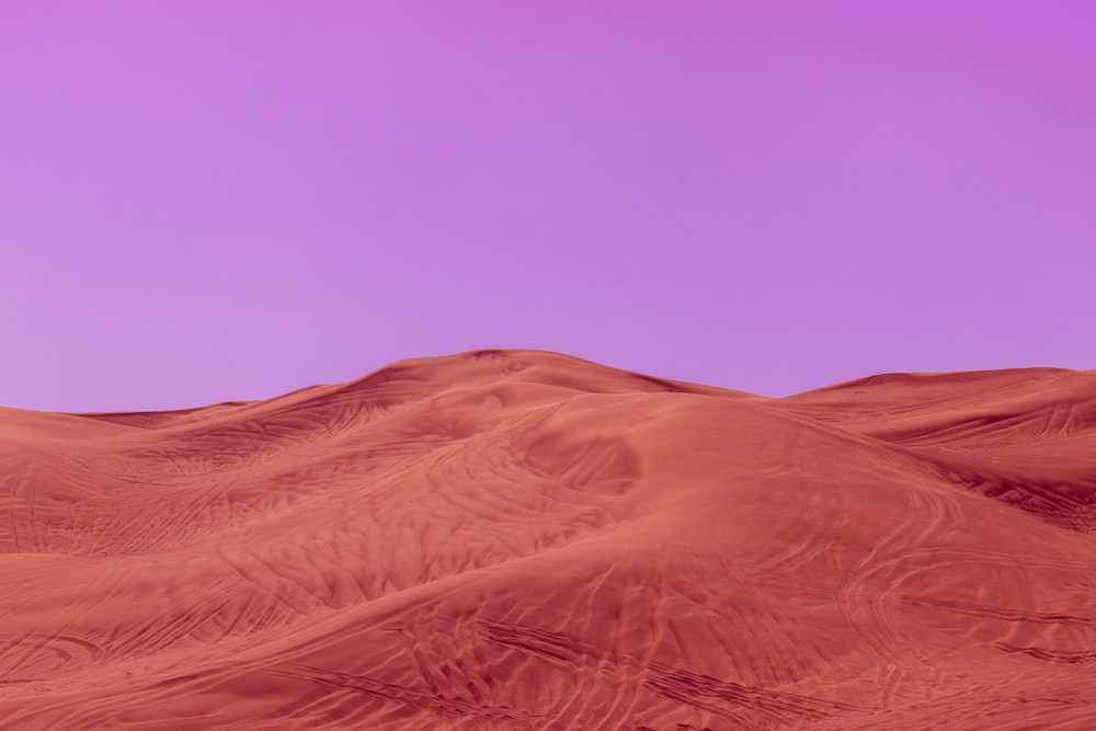 a purple sky is seen over a desert landscape