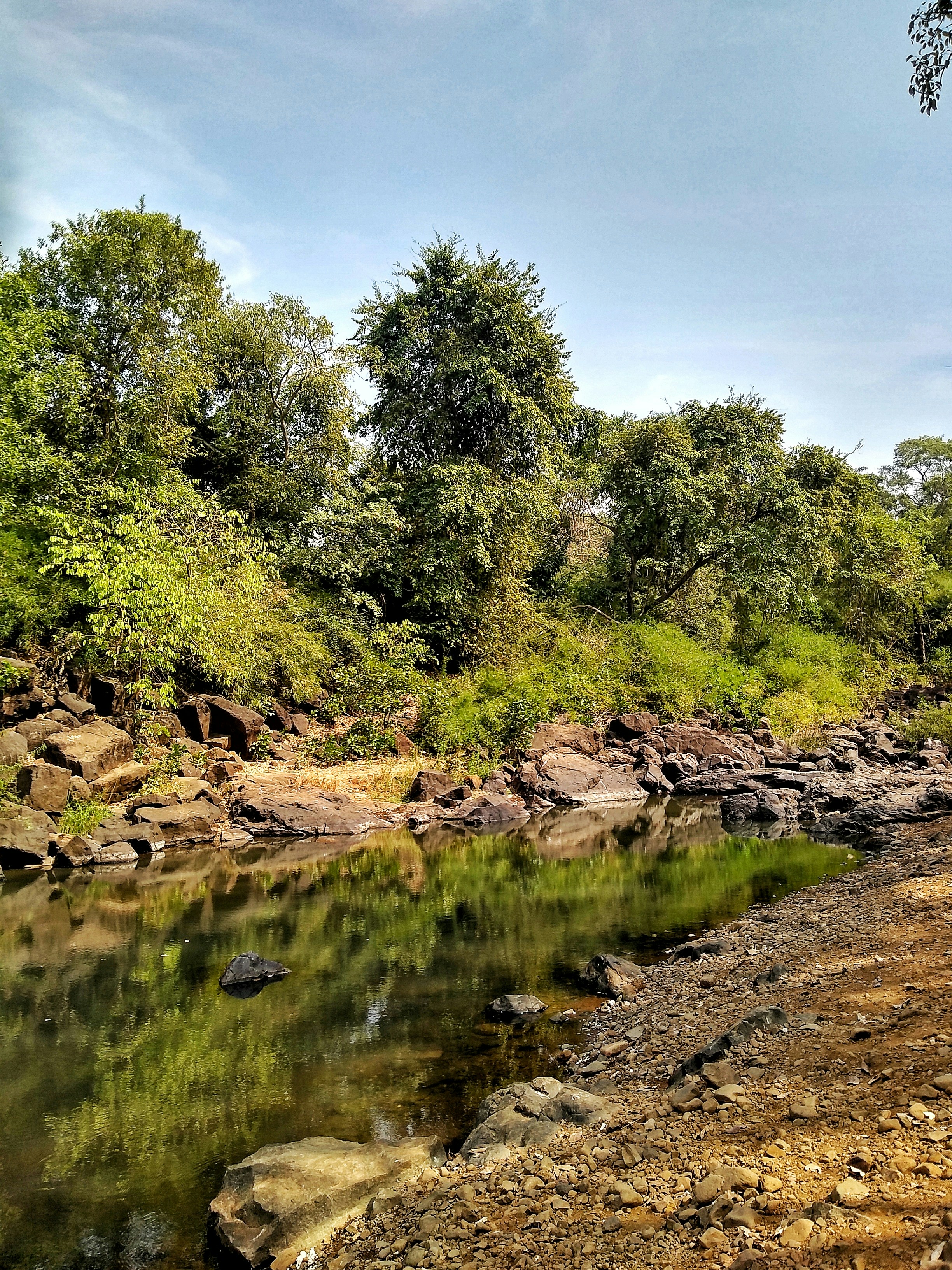 Photo by sathyaram