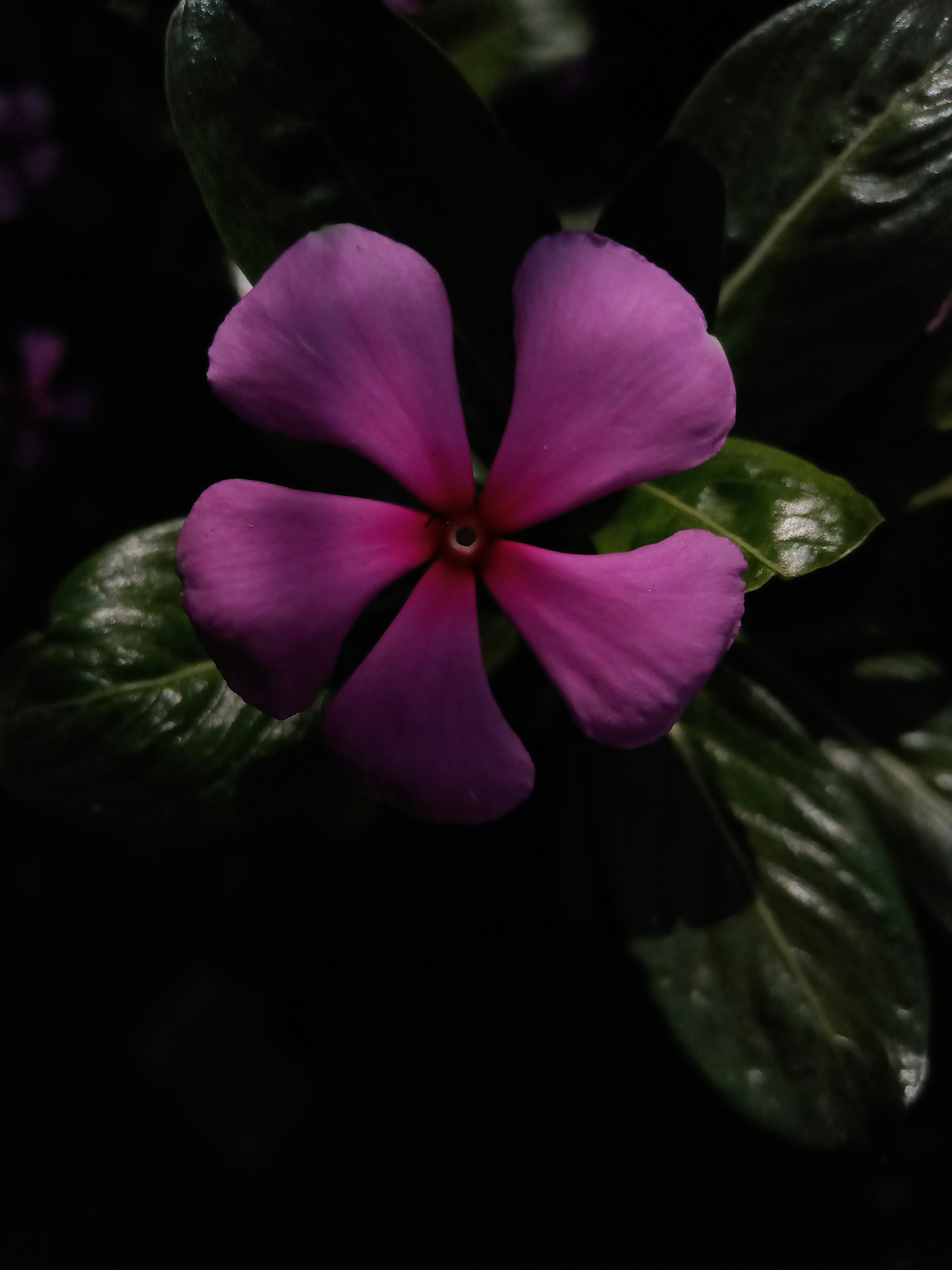 Photo by ssksmishra