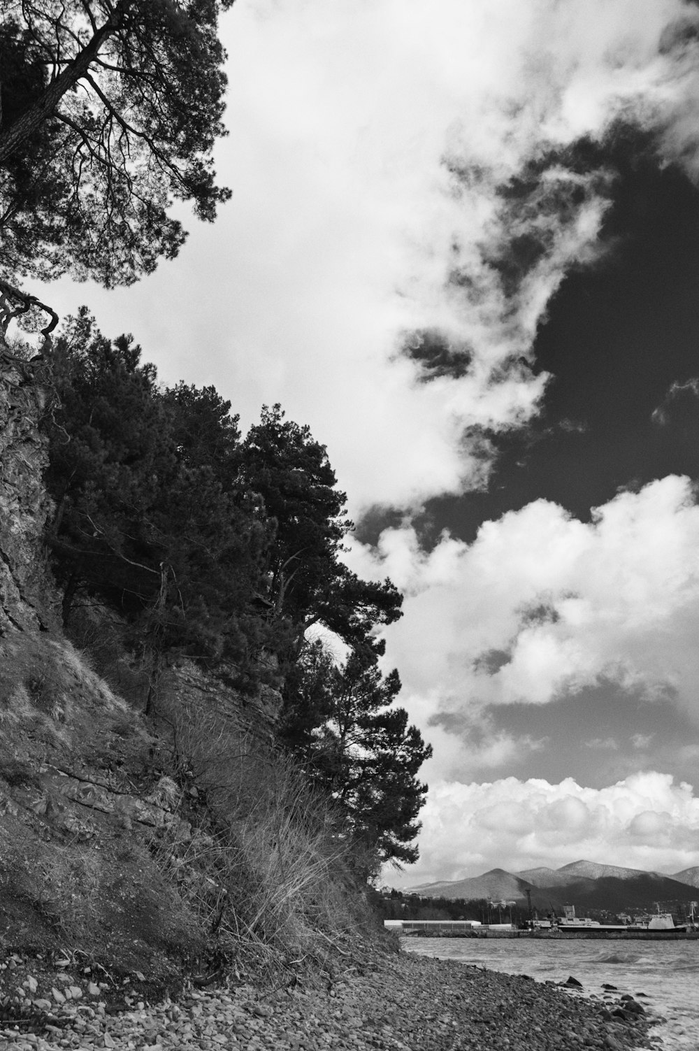 a black and white photo of a rocky beach