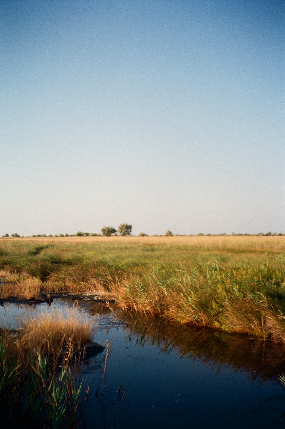 a small stream running through a lush green field