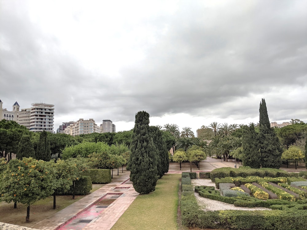 a view of a park with a lot of trees and bushes