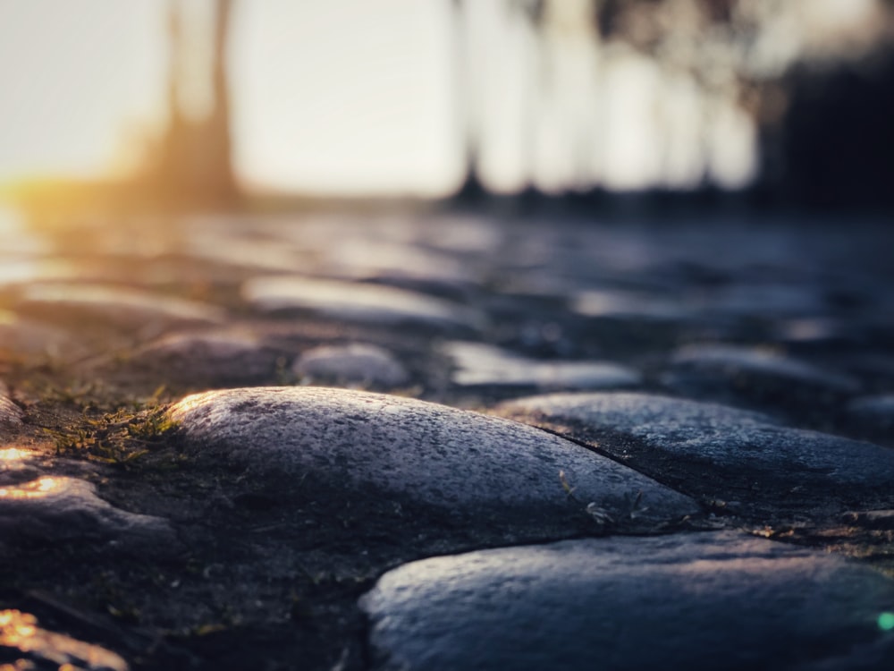 a close up of rocks and grass on the ground