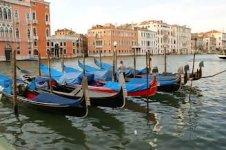 a row of gondolas tied to poles in the water
