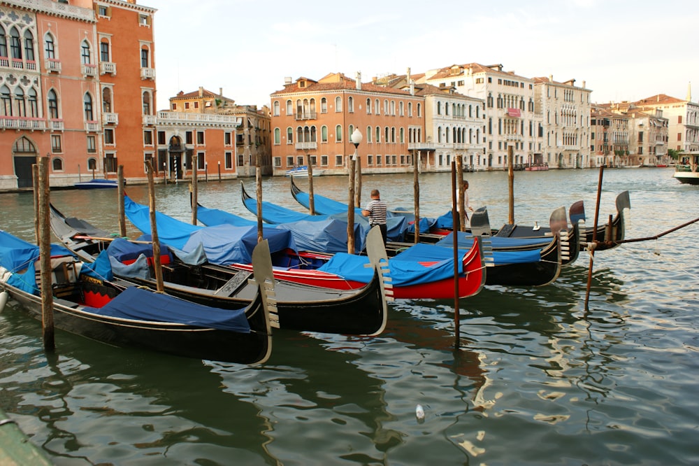 a row of gondolas tied to poles in the water