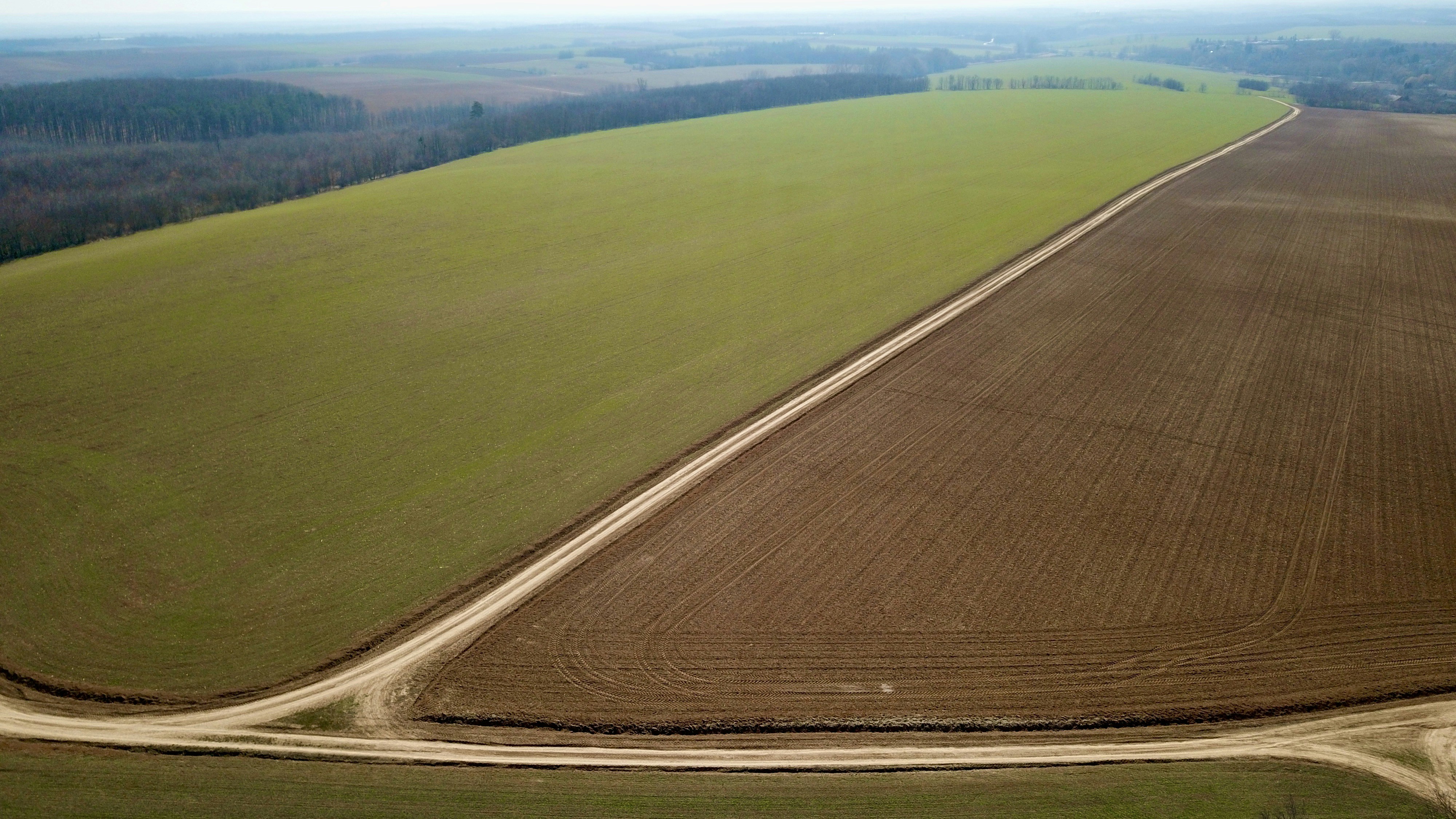 an aerial view of a large field of crops