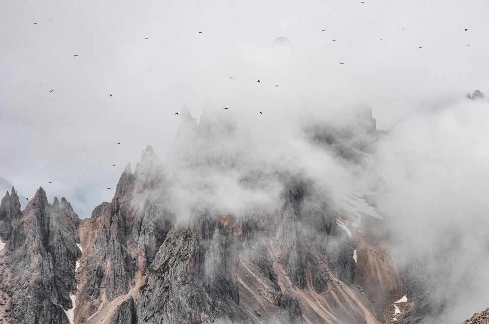 a group of birds flying over a mountain range