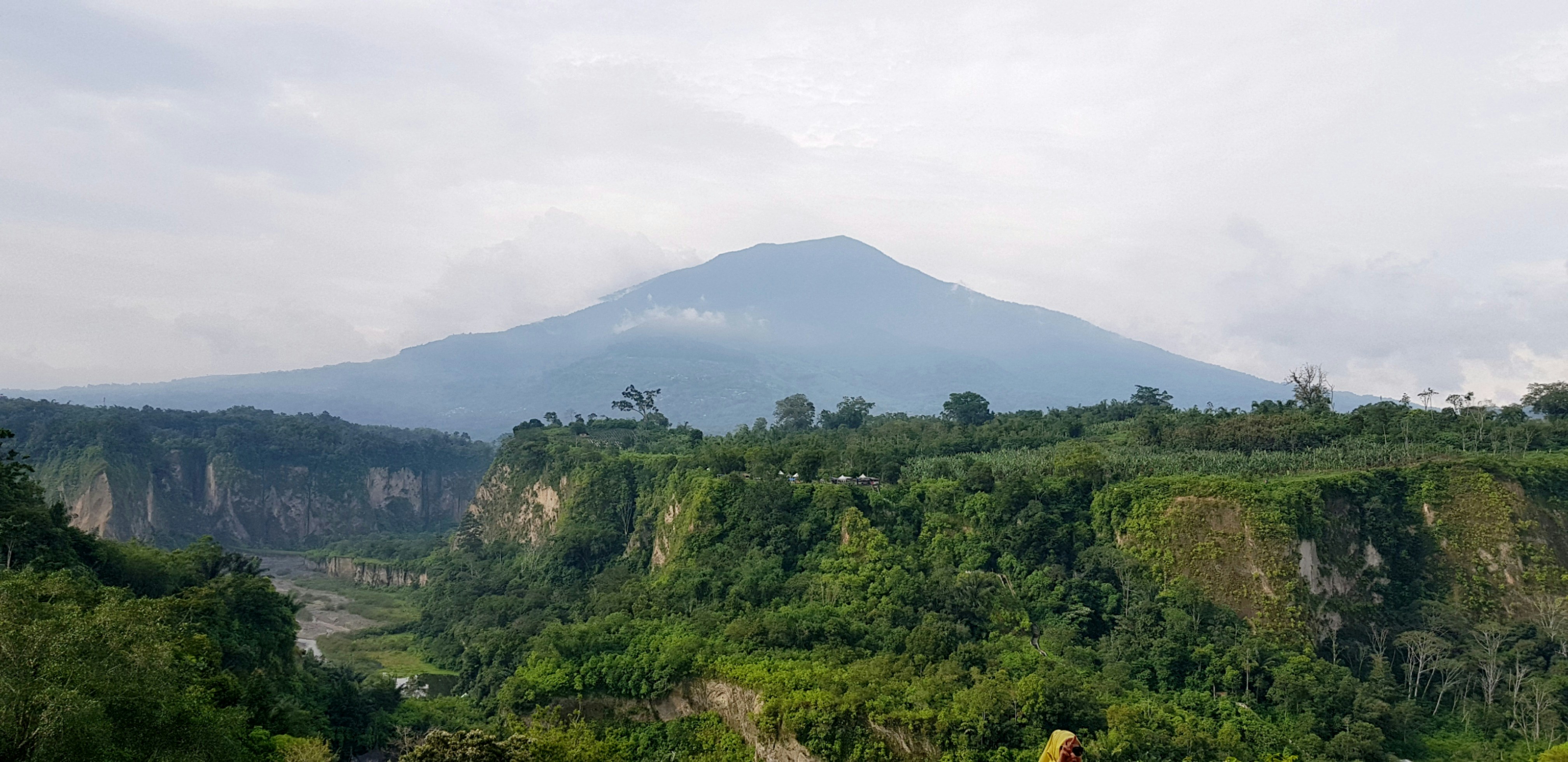 a man riding a horse down a lush green hillside