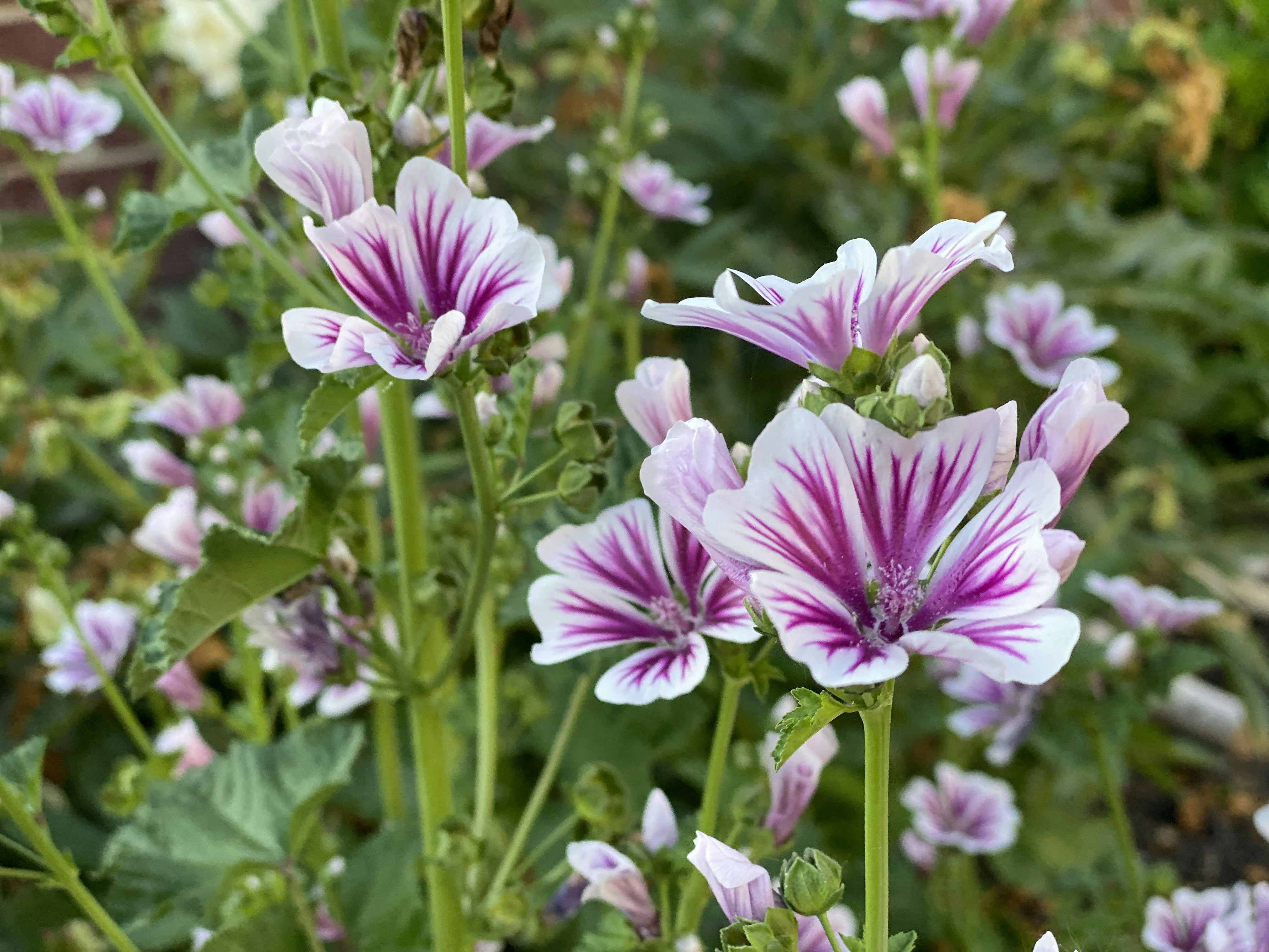 Photo by charlie_wollborg