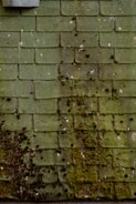 A series of green, worn-down shingles covered with moss and dark spots, showing signs of aging and moisture. The surface appears uneven due to the growth of organic material and accumulated dirt.