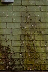 A series of green, worn-down shingles covered with moss and dark spots, showing signs of aging and moisture. The surface appears uneven due to the growth of organic material and accumulated dirt.