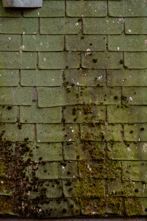 A cedar roof with visible moisture effects on one slope contrasting with dry areas.