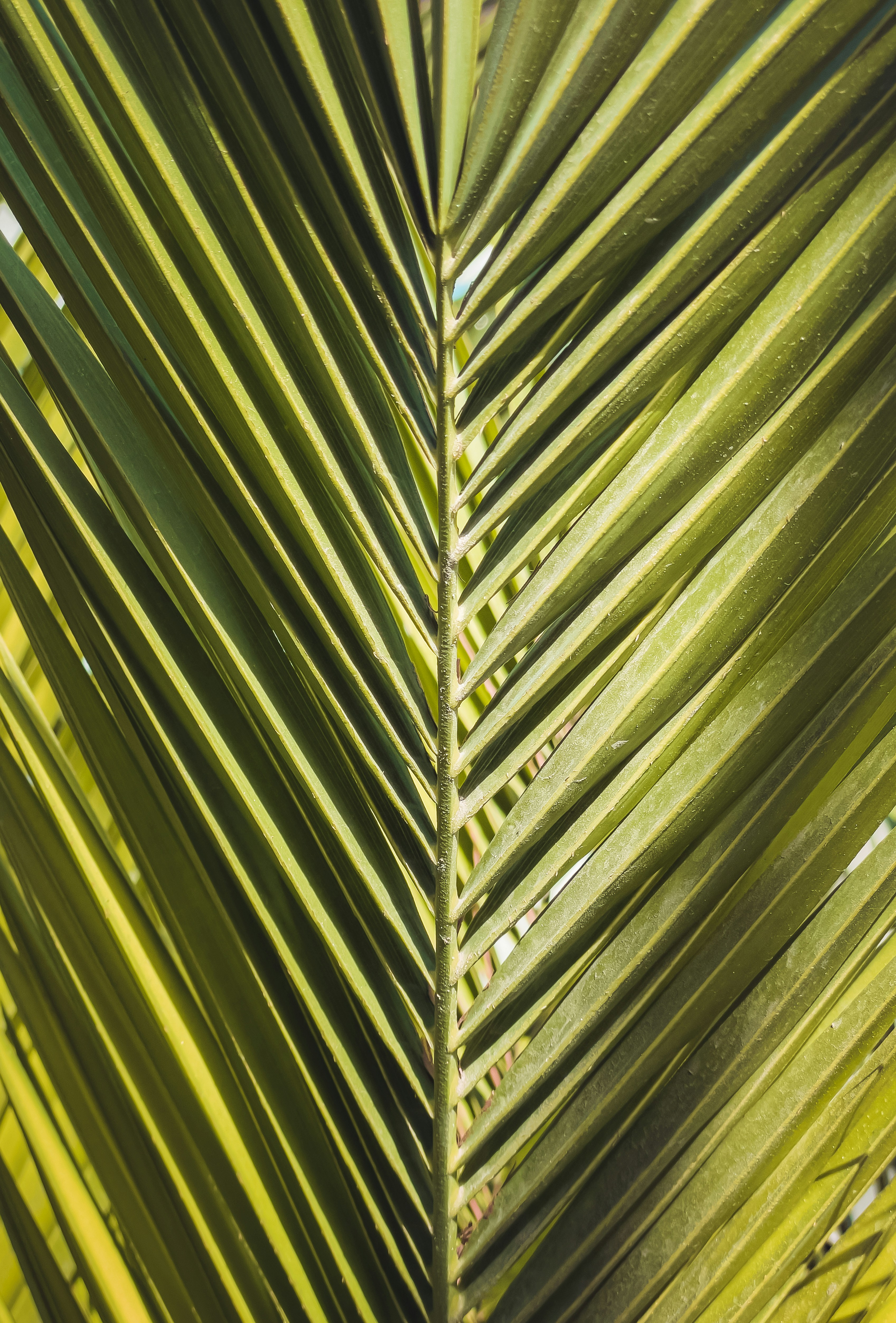 Photo by itsomidarmin