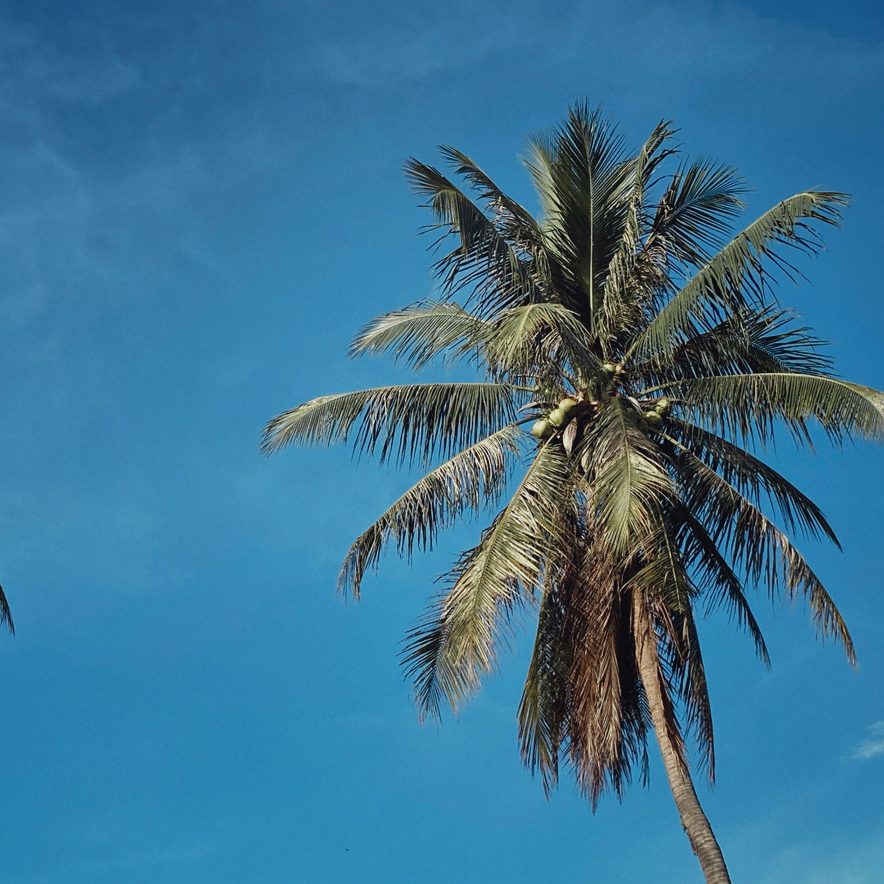 Photo by flowerandfriends