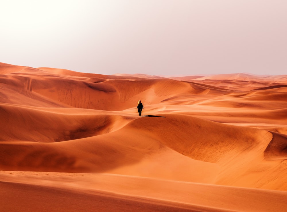 a lone person standing in the middle of a desert