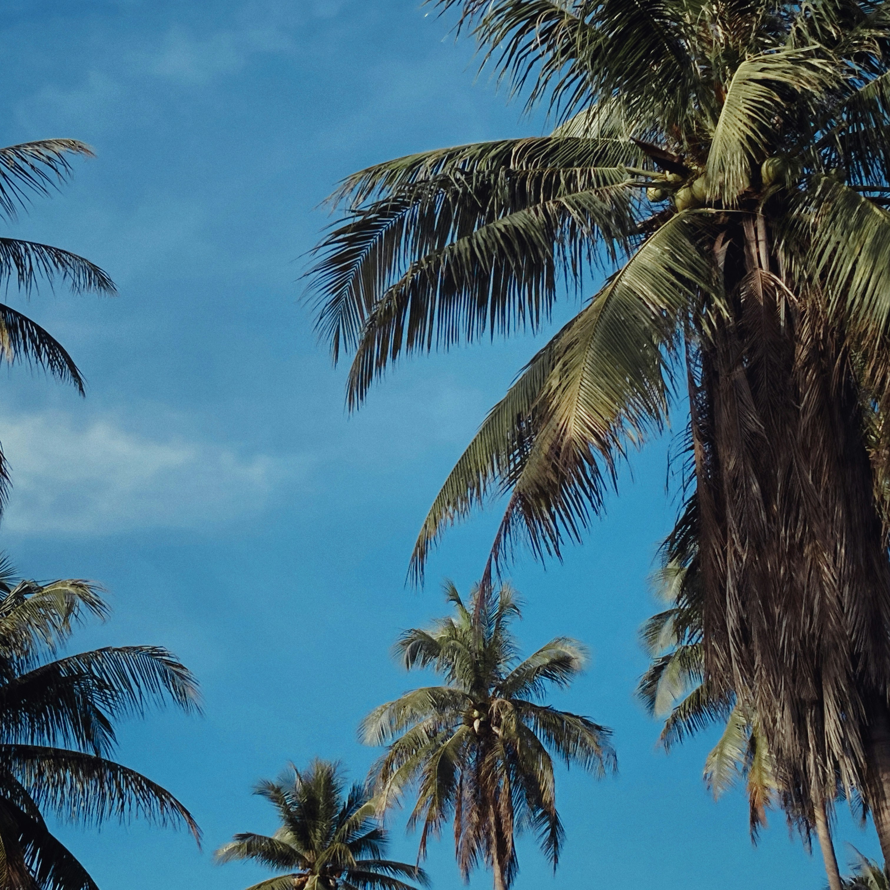 Photo by flowerandfriends