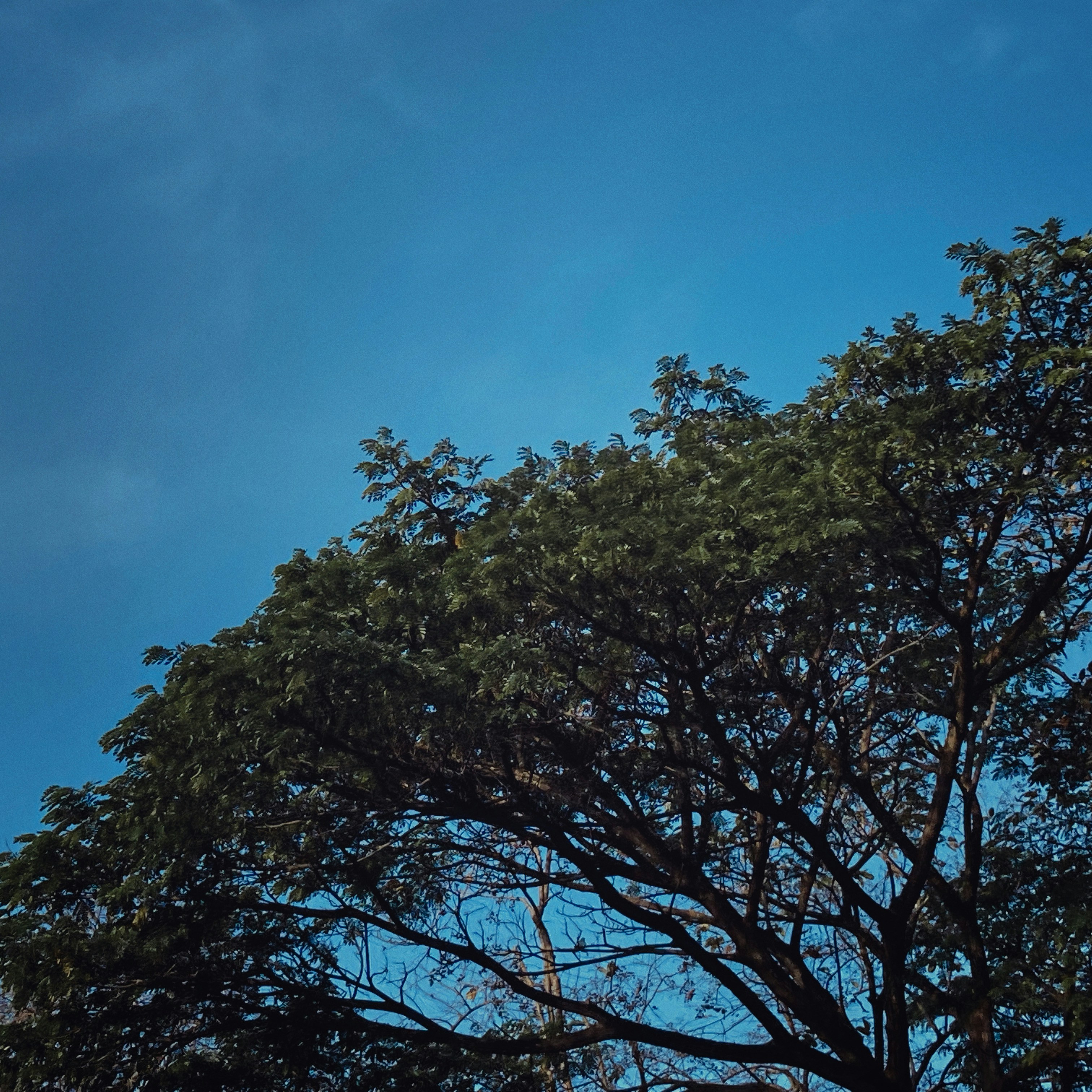 Photo by flowerandfriends