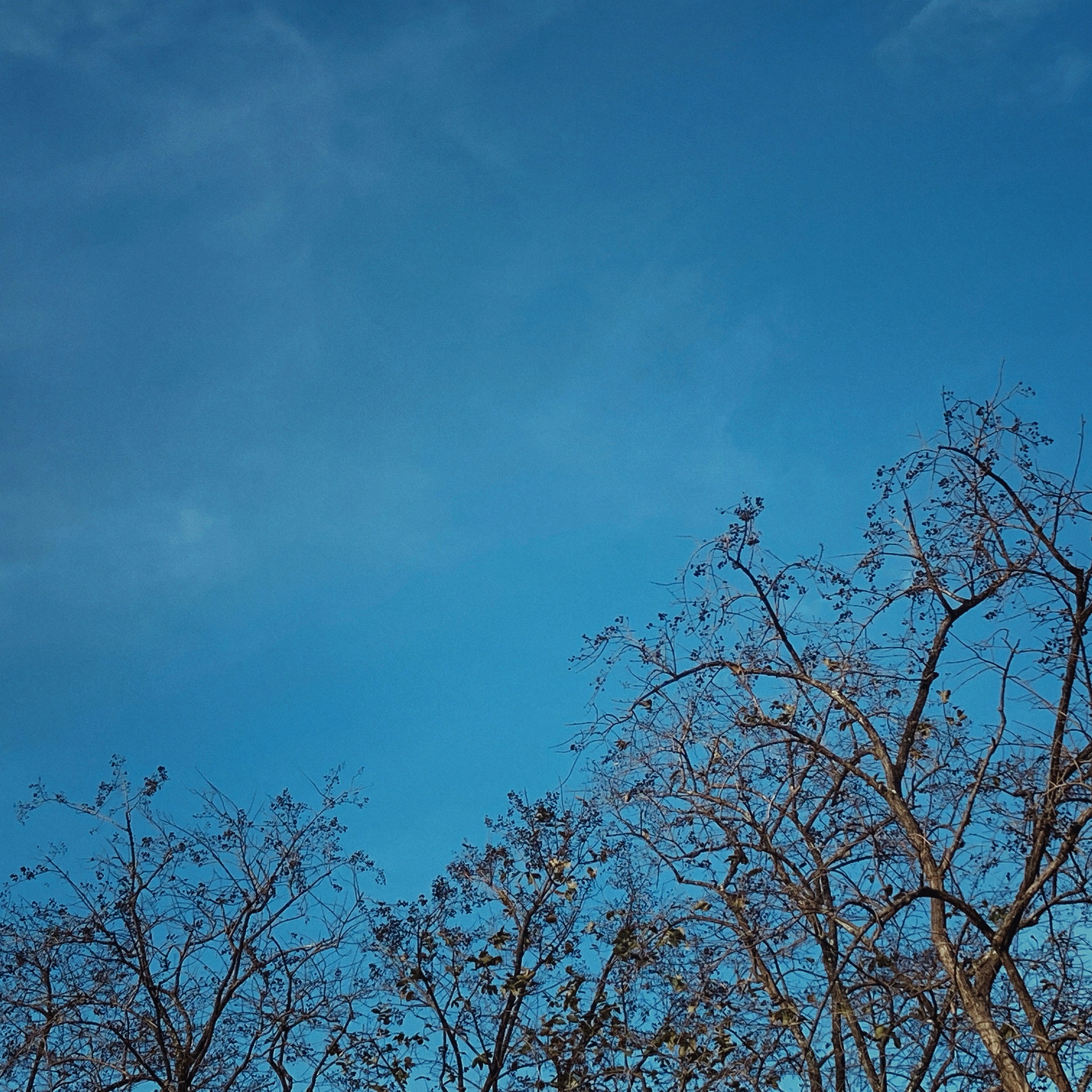 Photo by flowerandfriends