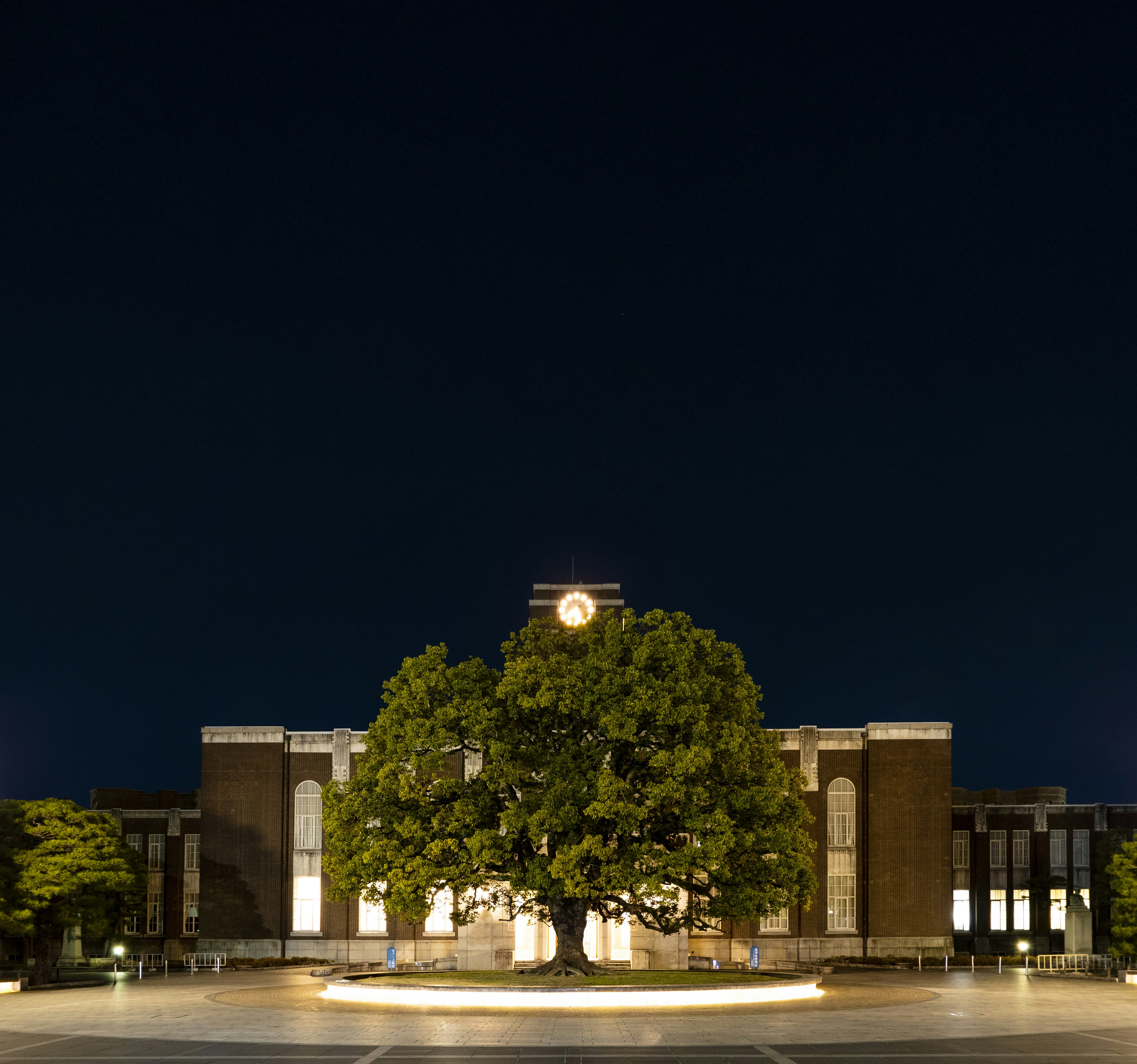 Photo by shellingfordyu