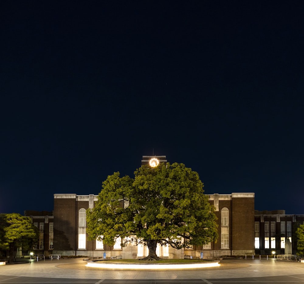 a large building with a tree in front of it