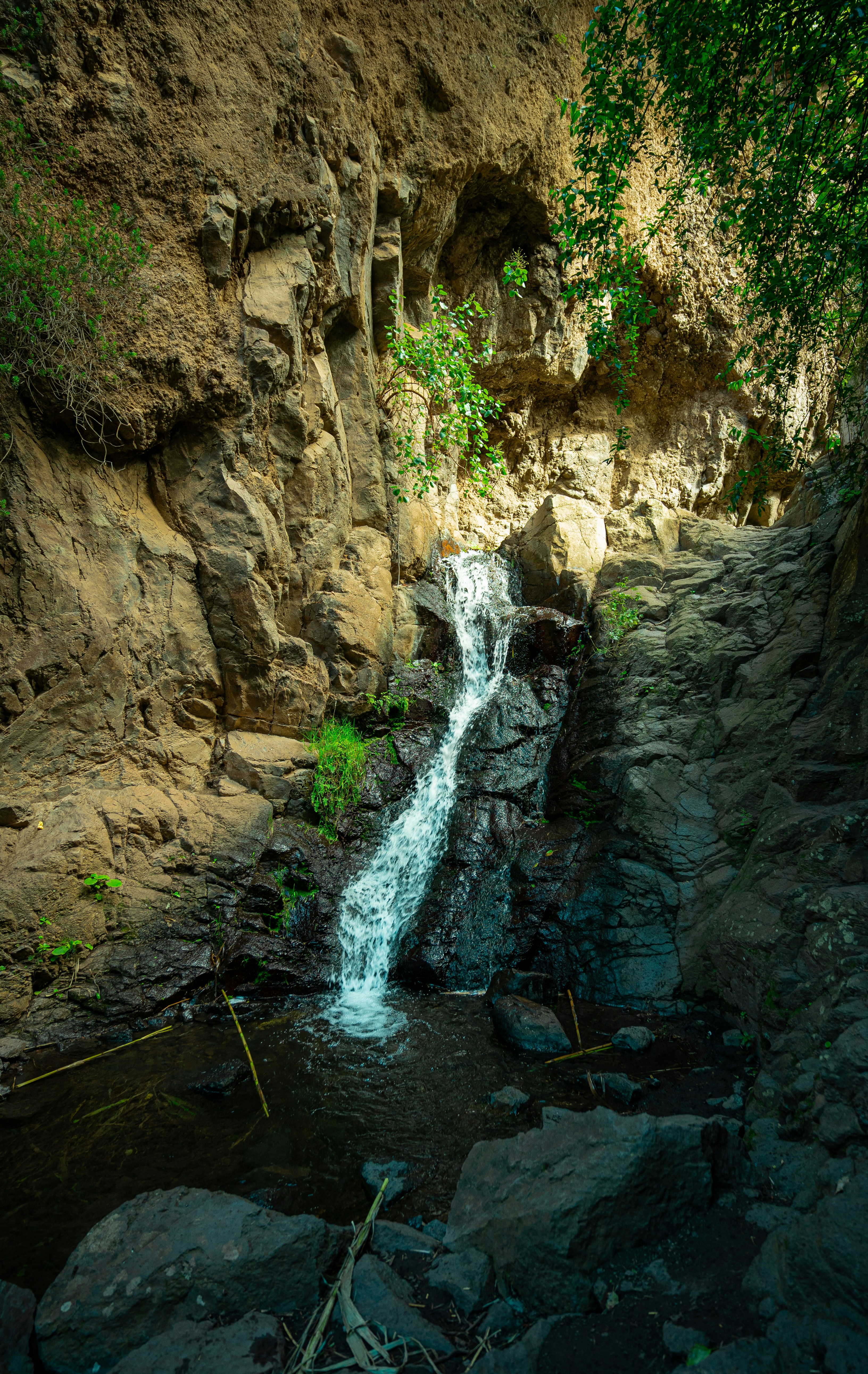 a close up of a rock next to a waterfall