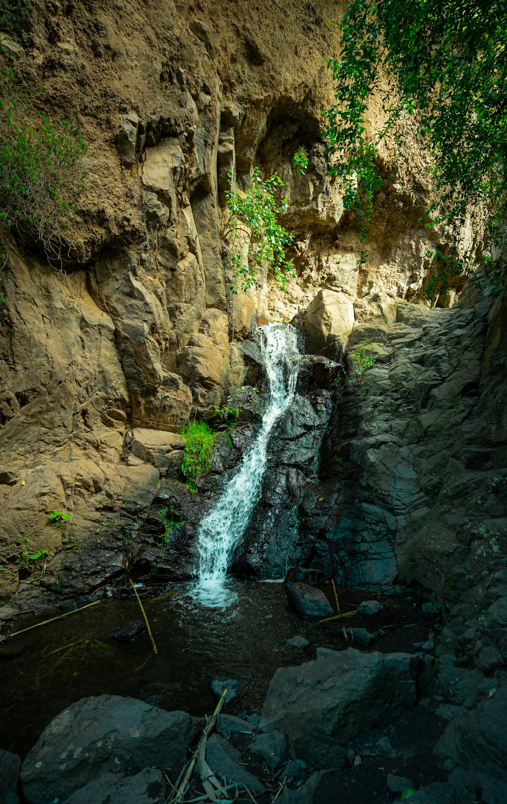 a close up of a rock next to a waterfall