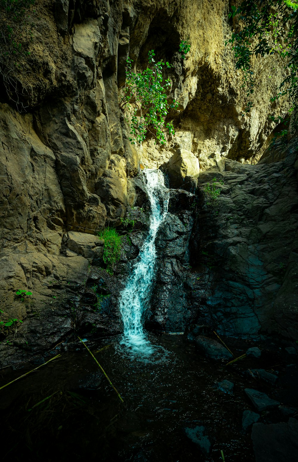 a waterfall with trees in the background