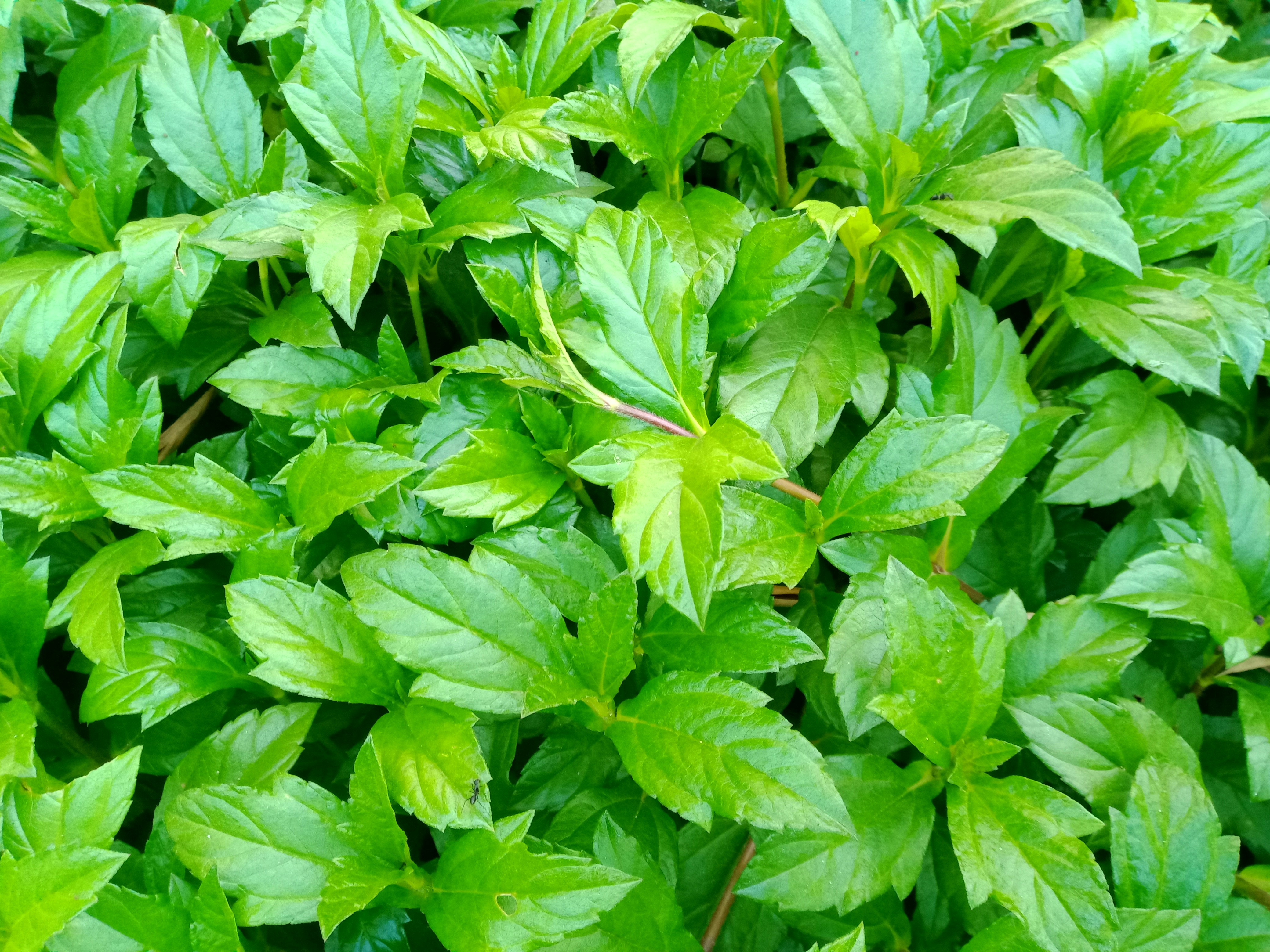 Photo by obydullahz35