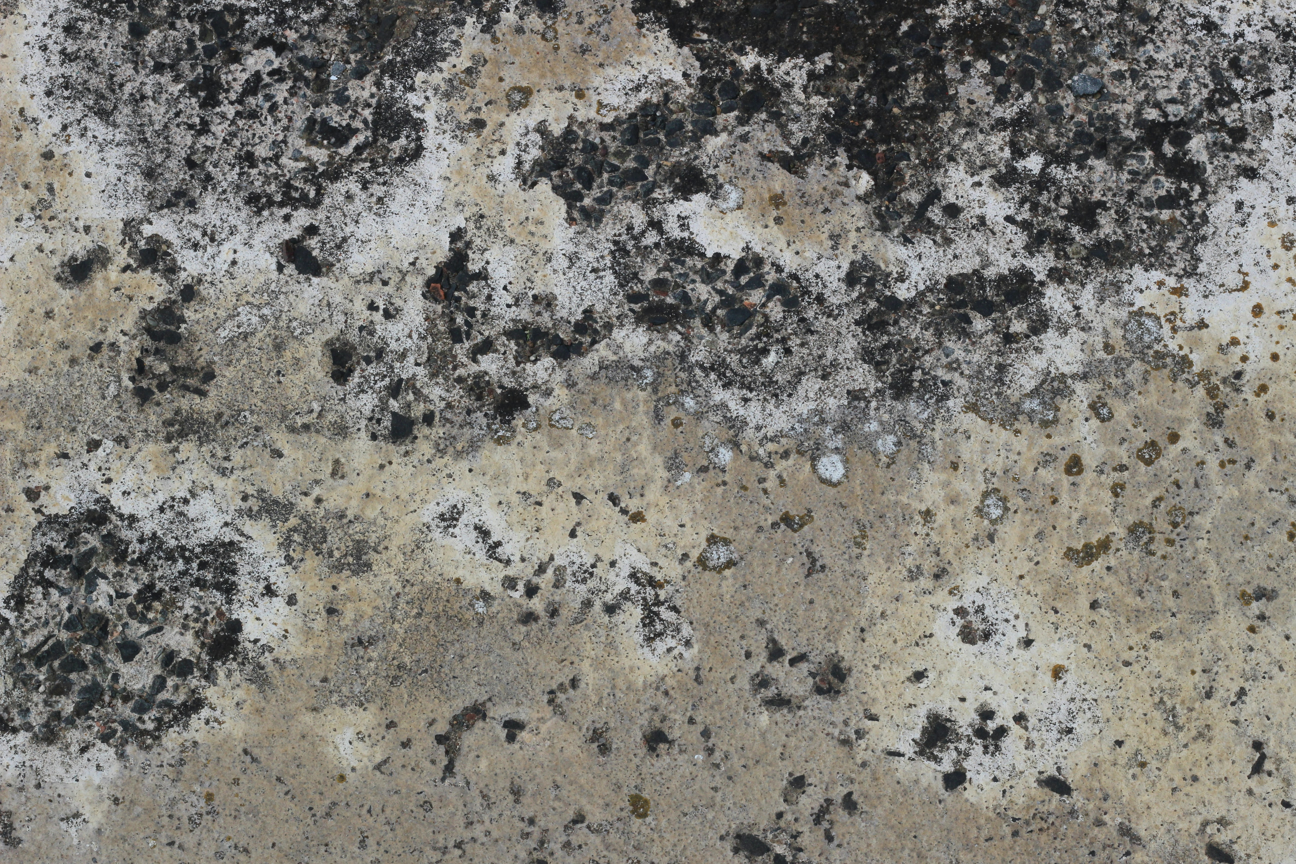 Photo by aylesthomson