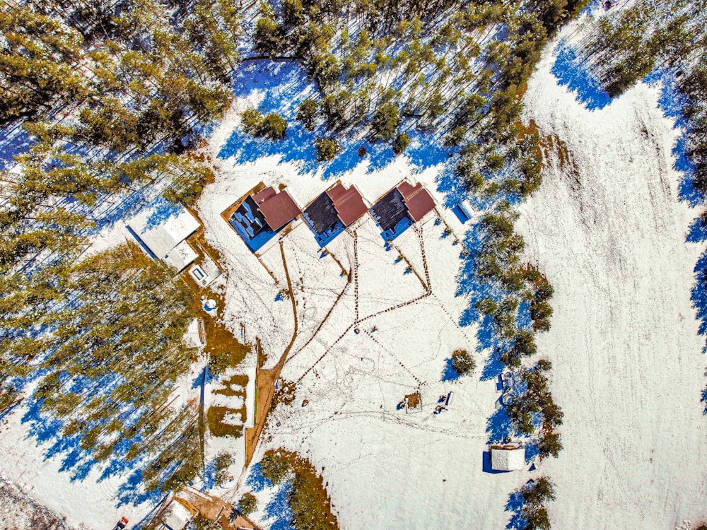 an aerial view of a snow covered forest