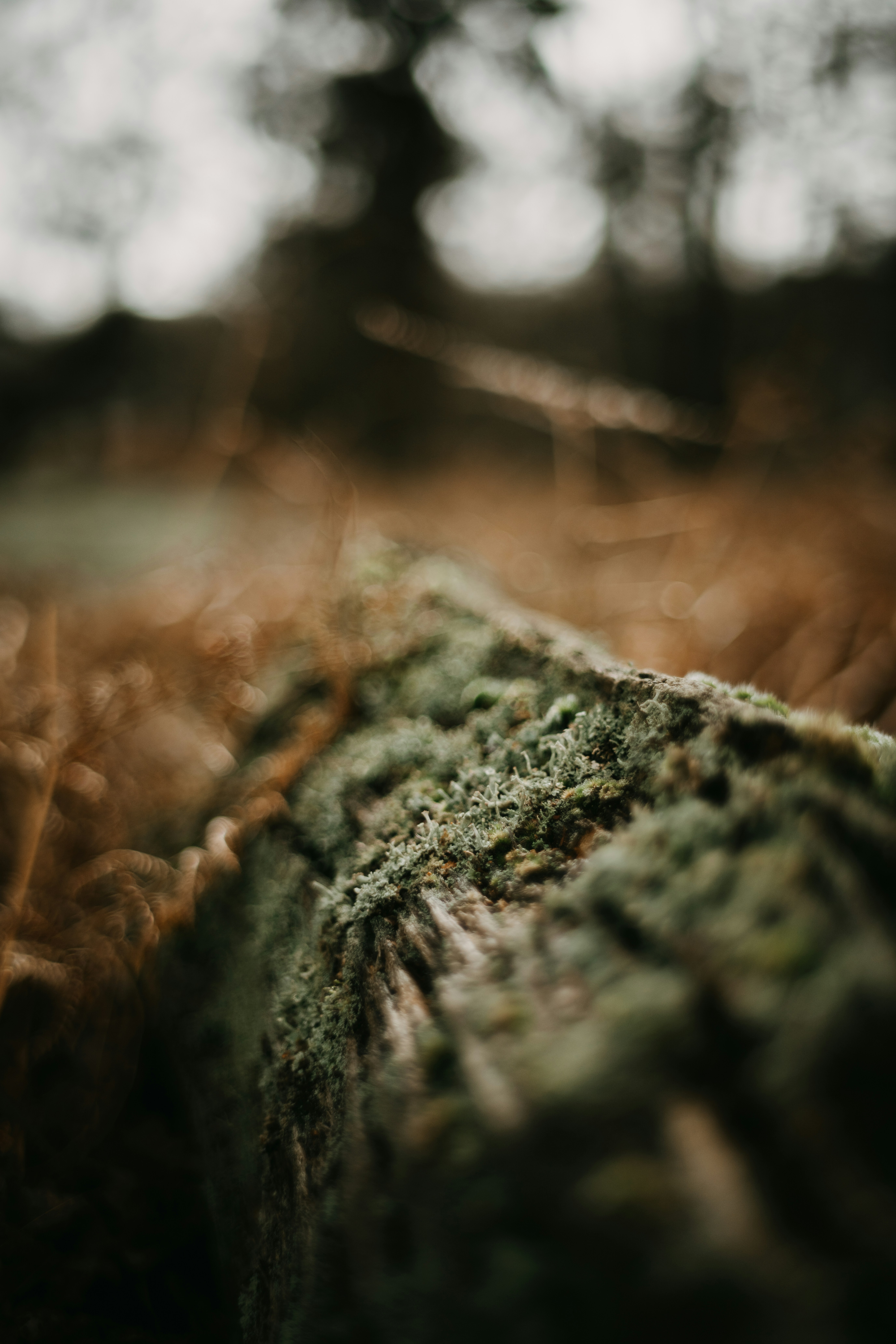 Photo by anniespratt