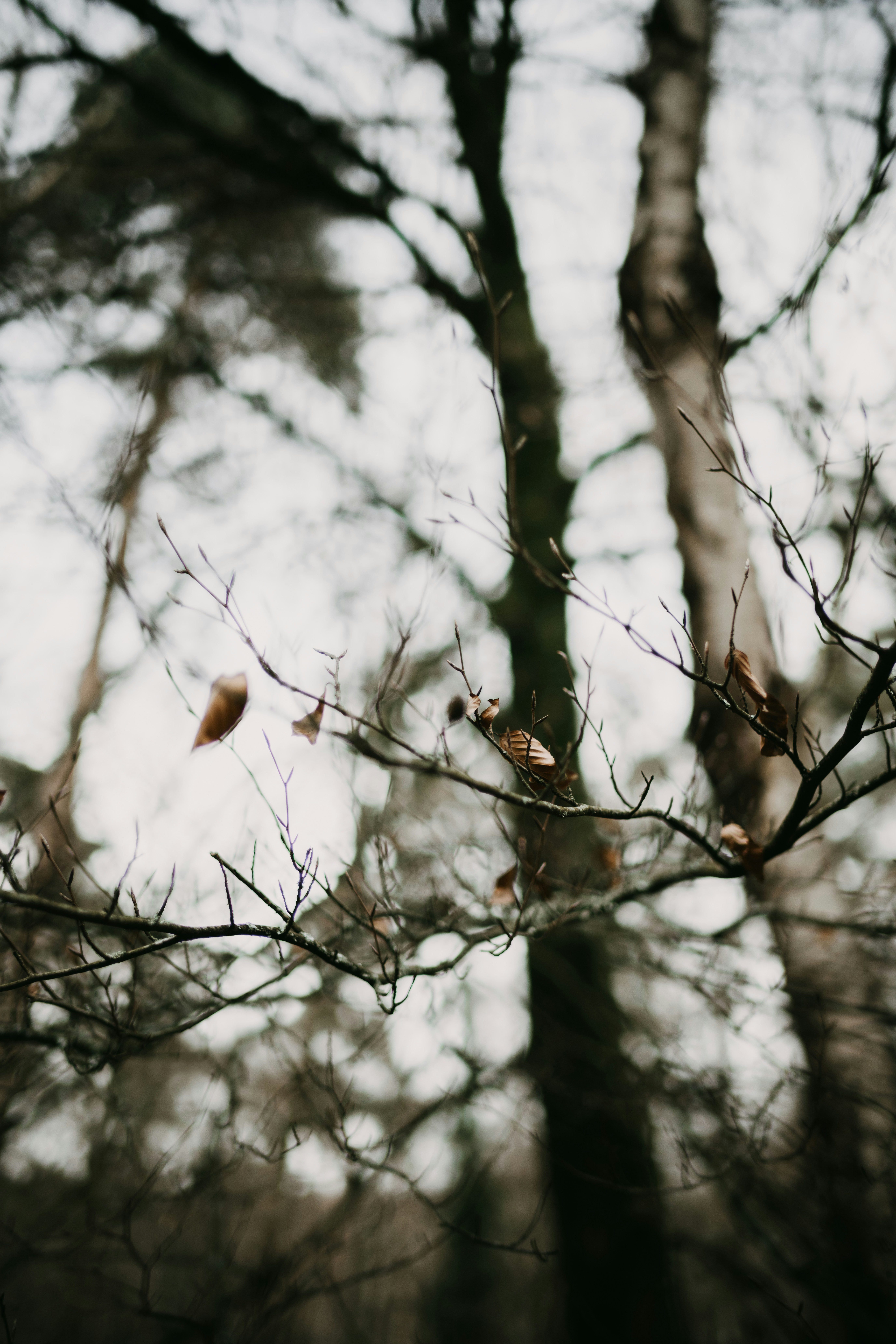 Photo by anniespratt