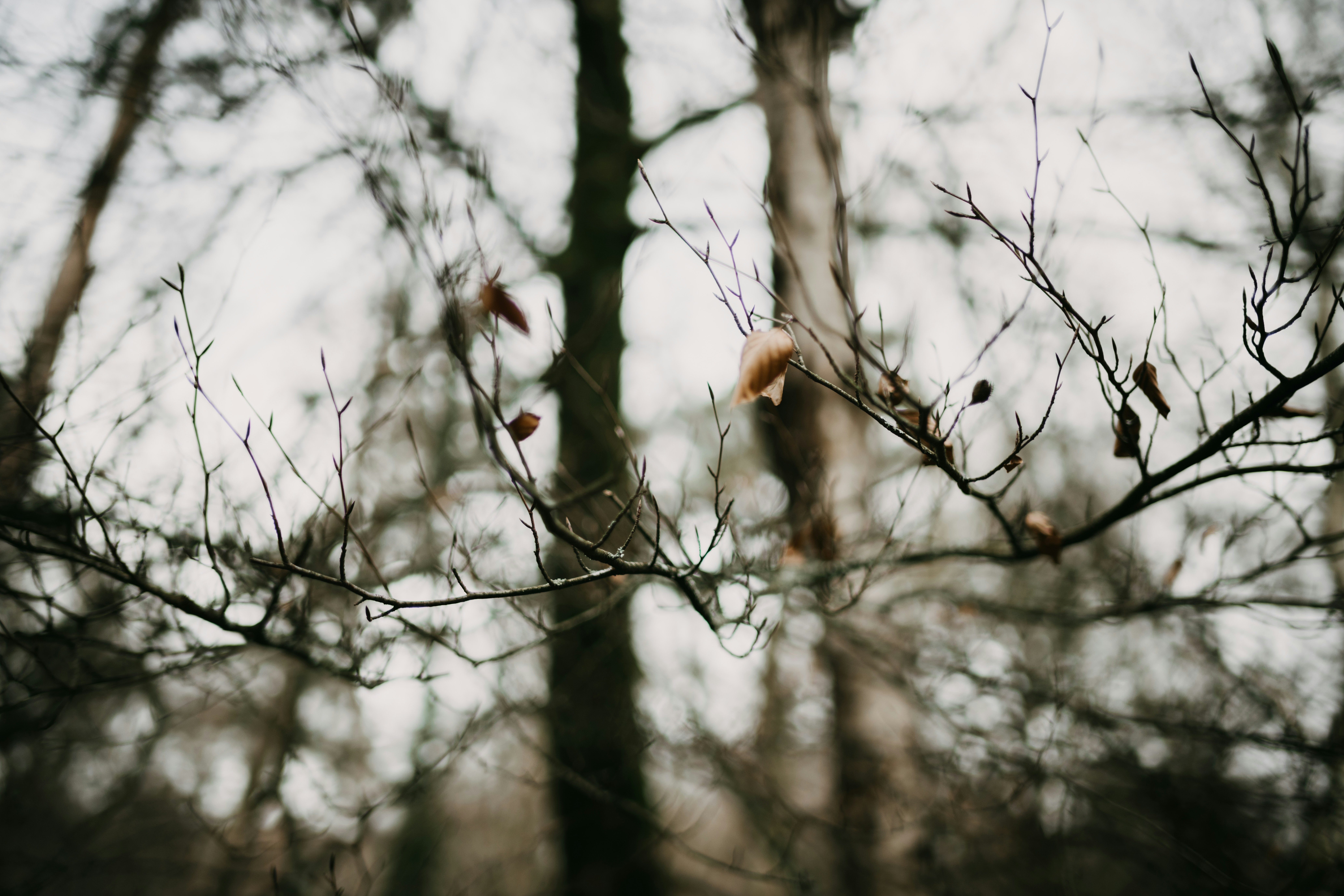 Photo by anniespratt