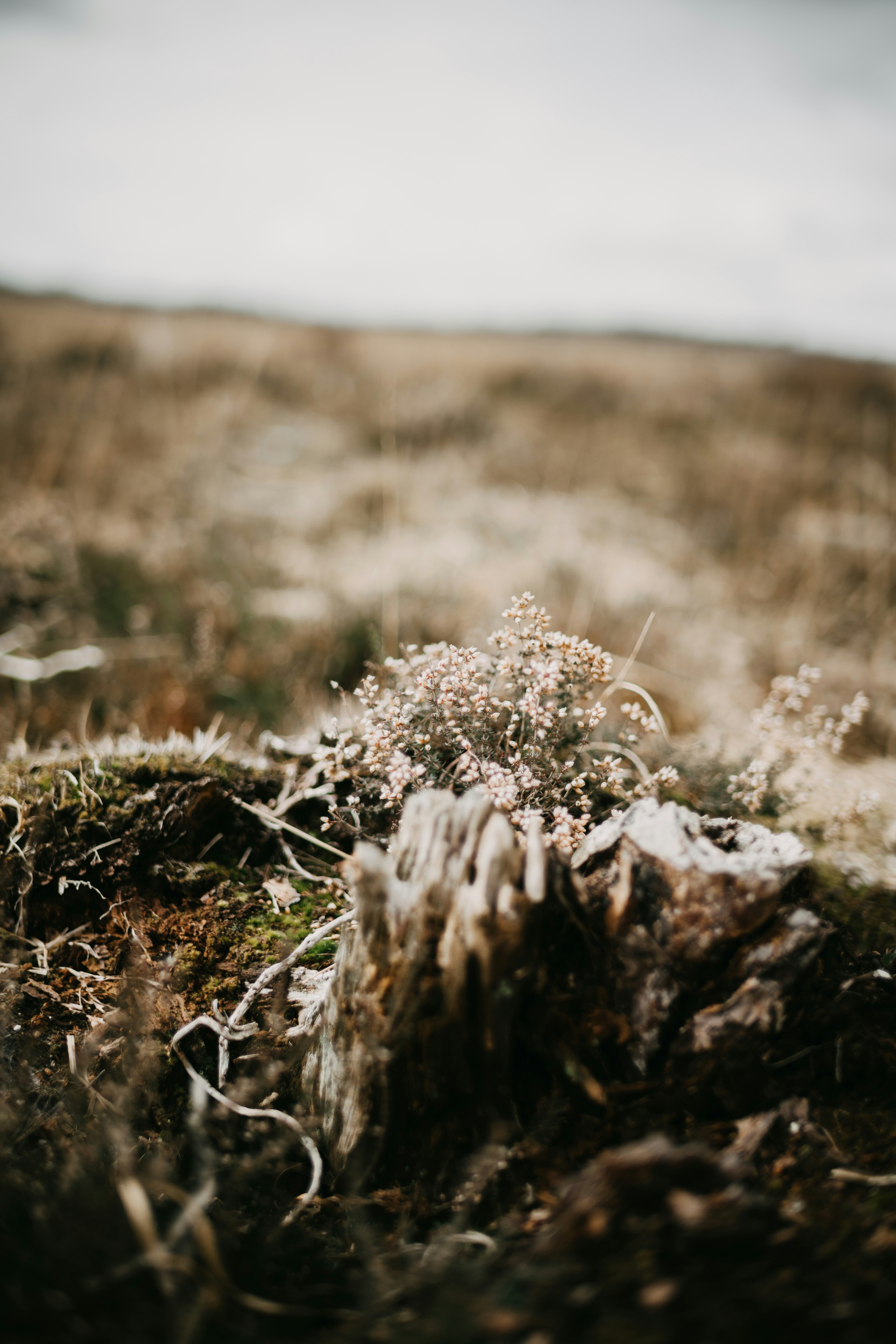 Photo by anniespratt