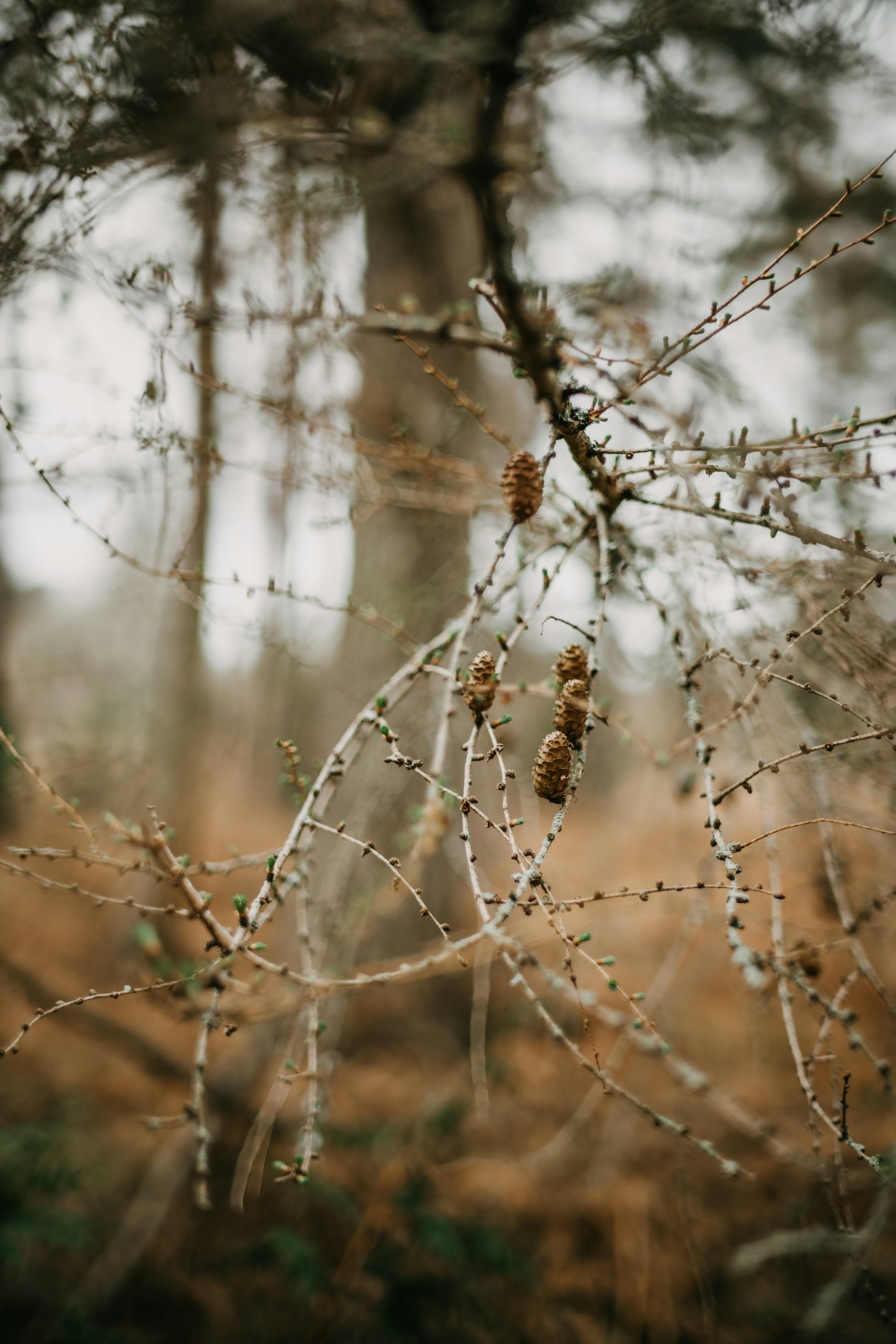 Photo by anniespratt